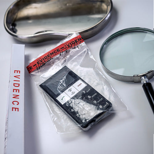 P3P4 Amazing World of Science: Detective Science