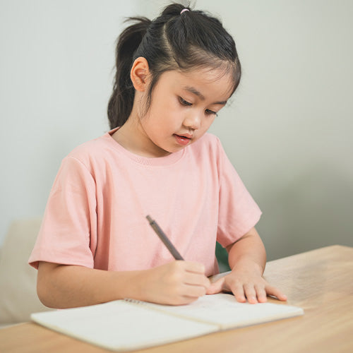 P2 High Ability Learners Workshop 2