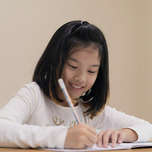 P3 High Ability Learners Workshop 3